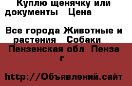 Куплю щенячку или документы › Цена ­ 3 000 - Все города Животные и растения » Собаки   . Пензенская обл.,Пенза г.